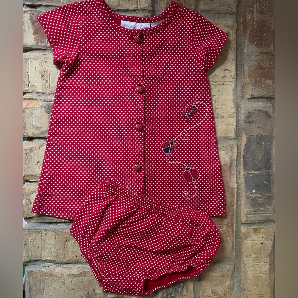 Ladybug Dress w/diaper cover